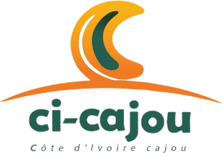 CÔTE D’IVOIRE CAJOU